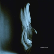 Buy A Wonderful Life