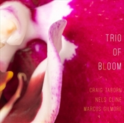 Buy Trio Of Bloom