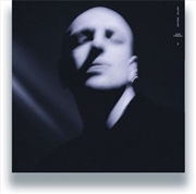 Buy In Daytona Yellow