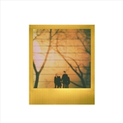 Buy Polaroid Go Film Double Pack - Gold Frame Edition