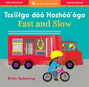Buy Fast and Slow (Bilingual Navajo & English)