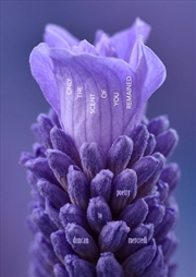 Buy Only the Scent of You Remained