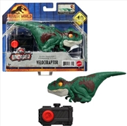 Buy Mattel - Jurassic World Dominion Uncaged Click Tracker Velociraptor, Green