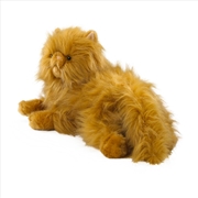 Buy Harry Potter - Crookshanks Collector's 48cm Plush