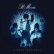 Buy Hidden Treasures