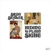 Buy Hiding In Plain Sight