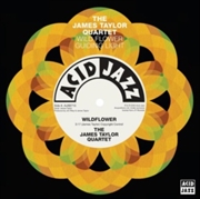 Buy Wildflower / Guiding Light