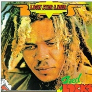 Buy Black Star Liner