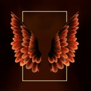 Buy Wings Back To Africa