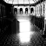 Buy Medicinals - Clear