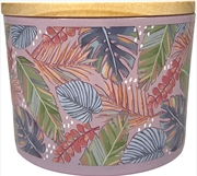 Buy Candle 400G Cut Wick Tropical Coconut Palm