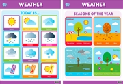 Buy Educational Poster Double Sided Weather
