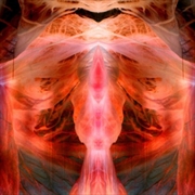 Buy Annihilating Angel Or Surface Of The World