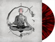 Buy We Came As Romans