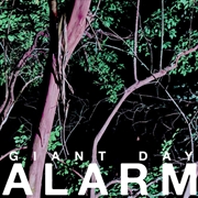 Buy Alarm