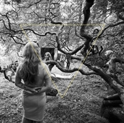 Buy Tender Revolutions