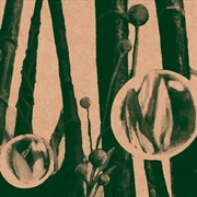 Buy Through Friendly Waters (20th Anniversary Edition)