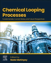 Buy Chemical Looping Processes : Fundamentals, Current Status, And Future Perspectives