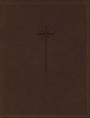 Buy NIV Journal The Word Bible Red Letter Edition [Brown]