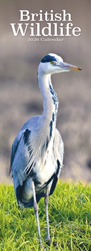 Buy British Wildlife Slim Calendar 2026 Slimline Calendar - 12 Month