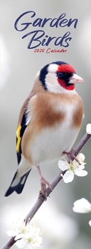Buy Garden Birds Slim Calendar 2026 Bird Slimline Calendar - 12 Month