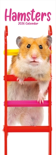Buy Hamsters Slim Calendar 2026 Cute Slimline Calendar - 12 Month