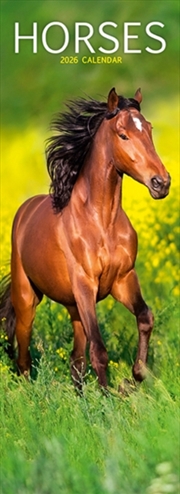 Buy Horses Slim Calendar 2026 Horses Slimline Calendar - 12 Month
