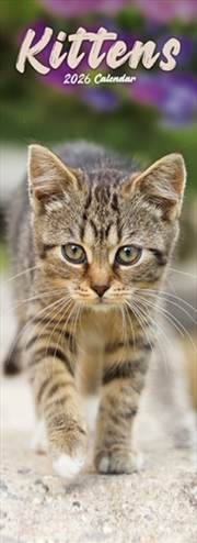 Buy Kittens Slim Calendar 2026 Cute Slimline Calendar - 12 Month