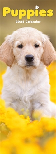 Buy Puppies Slim Calendar 2026 Dog Breed Slimline Calendar - 12 Month