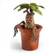 Buy Harry Potter - Mandrake Magical Creatures Diorama