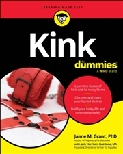 Buy Kink For Dummies