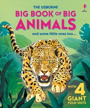 Buy Big Book Of Big Animals