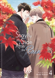 Buy Stay By My Side After The Rain Vol. 4