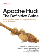Buy Apache Hudi - The Definitive Guide : Building Robust, Open, And High-Performing Data Lakehouses