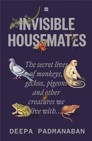 Buy Invisible Housemates