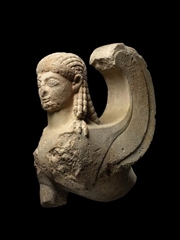 Buy Louvre Abu Dhabi : Birth Of A Collection