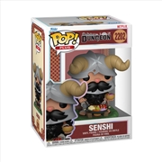 Buy Delicious in Dungeon - Senshi Pop! Plus