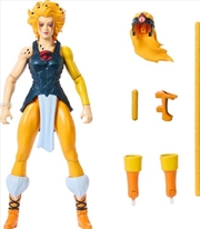 Buy Mattel Collectible - Masters of the Universe Origins x ThunderCats Cheetara Action Figure (He-Man, M