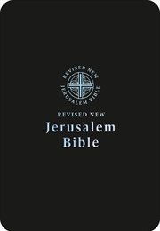 Buy RNJB Popular Black imitation Leather Bible