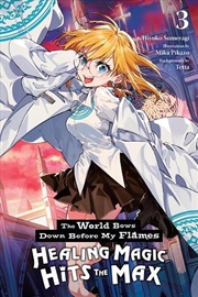 Buy The World Bows Down Before My Flames, Vol. 3 (novel)