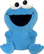 Buy Sesame Street Super Duper Plush - Cookie Monster