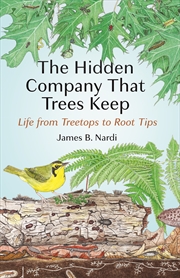 Buy The Hidden Company That Trees Keep