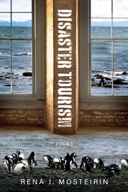 Buy Disaster Tourism