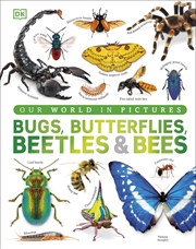 Buy Our World In Pictures Bugs, Butterflies, Beetles And Bees