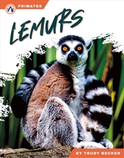 Buy Primates: Lemurs