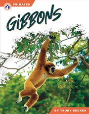 Buy Primates: Gibbons