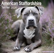 Buy American Staffordshire Terrier Calendar 2026 Square Dog Breed Wall Calendar - 16 Month