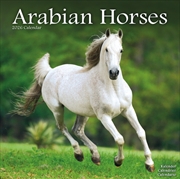 Buy Arabian Horses Calendar 2026 Square Horses Wall Calendar - 16 Month