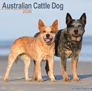 Buy Australian Cattle Dog Calendar 2026 Square Dog Breed Wall Calendar - 16 Month