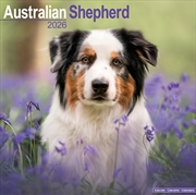 Buy Australian Shepherd Calendar 2026 Square Dog Breed Wall Calendar - 16 Month